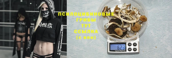 ECSTASY Абинск