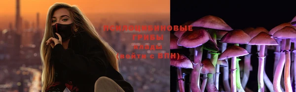 ECSTASY Абинск