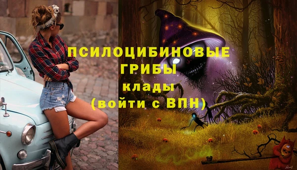прущий лед Алзамай