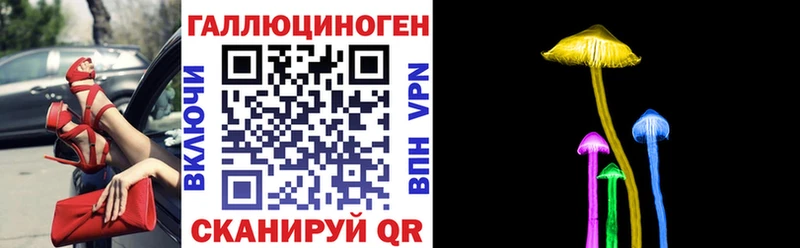 Галлюциногенные грибы MAGIC MUSHROOMS  купить закладку  Таштагол 